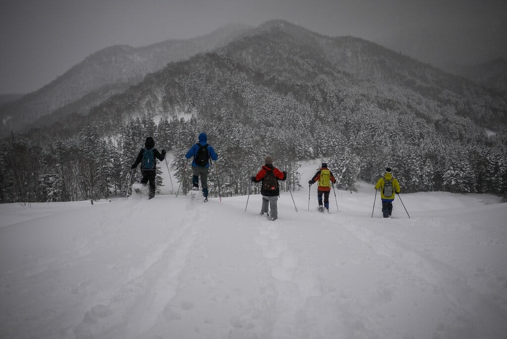 Snowshoeing near Hoheikyo Onsen (Jozankei) | HokkaidoWilds.org