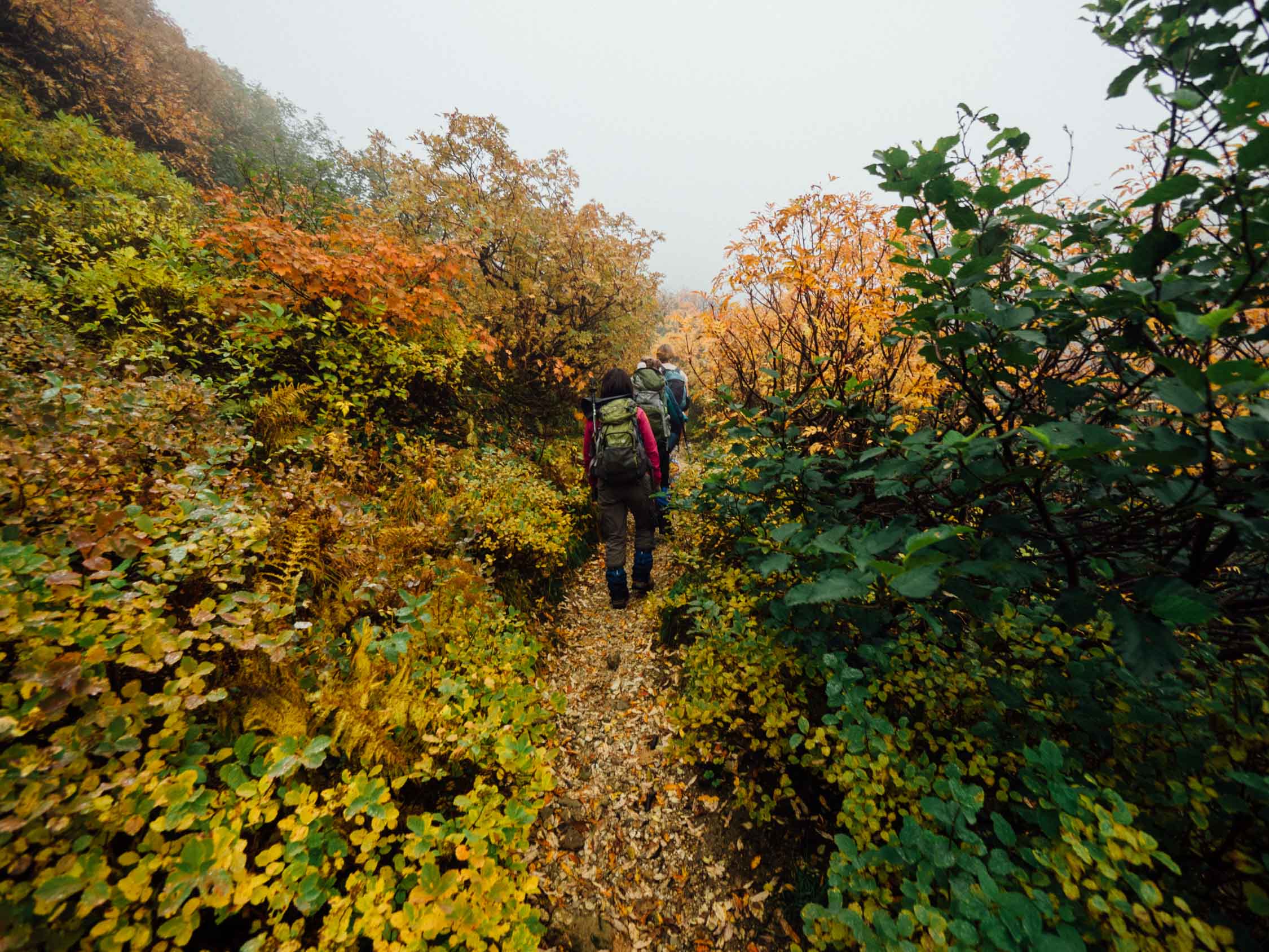 Hiking-Mt-Furano-in-autumn-Hokkaido-Japan_44164982504_o