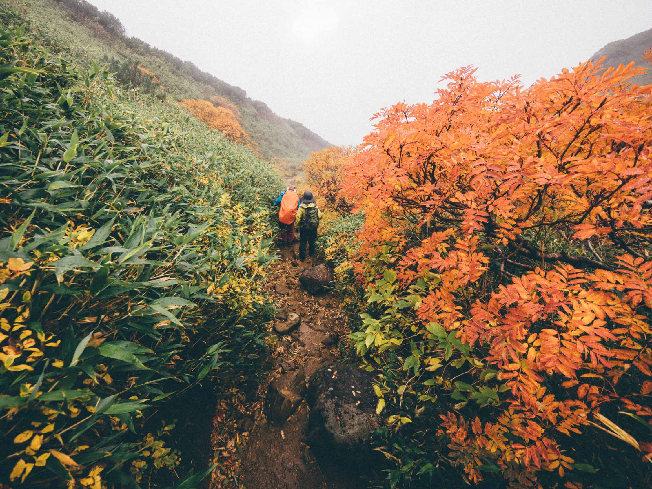 Mt-Kamihorometokku-hiking-trail-in-autumn-Hokkaido-Japan_31012411108_o