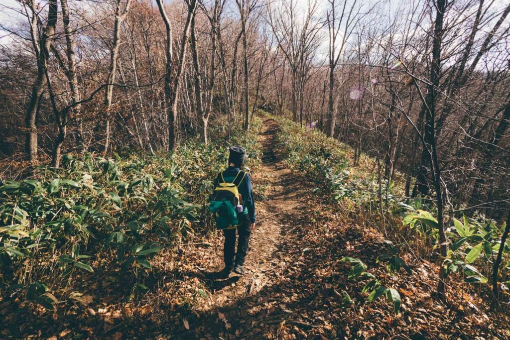 Mt. Moiwa hiking trail (Asahiyama Park trail)