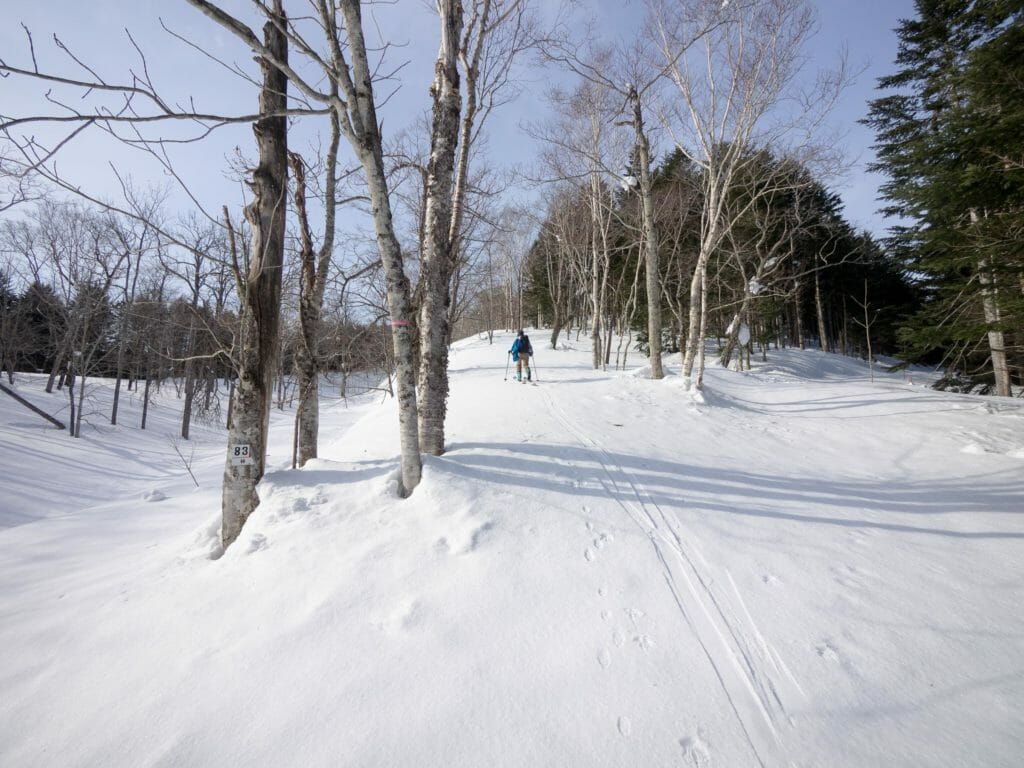 Rankoshi Horonai-yama ski touring (Hokkaido, Japan)
