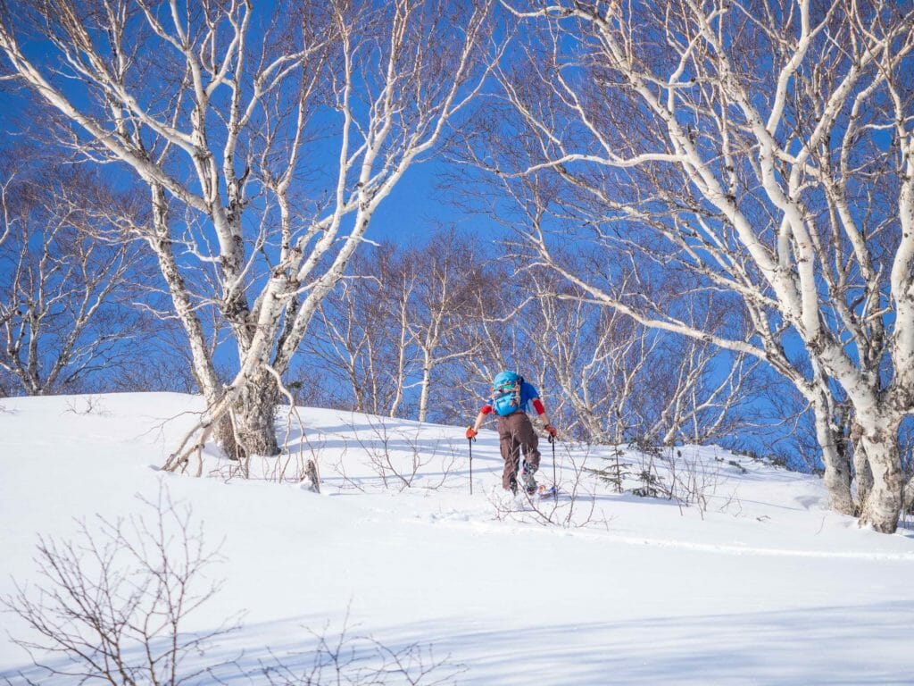 Fushimi-dake Ski Touring (Hidaka Ranges, Hokkaido, Japan)