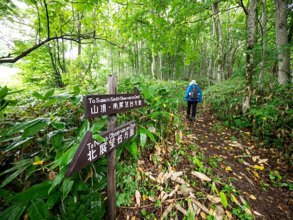 Hiking Kitoushi-yama in Higashikawa (Hokkaido, Japan)