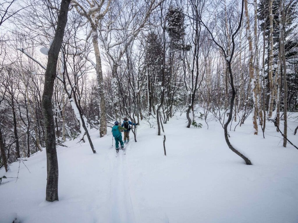 Bihinai-yama Ski Touring near Jozankei (Hokkaido, Japan)