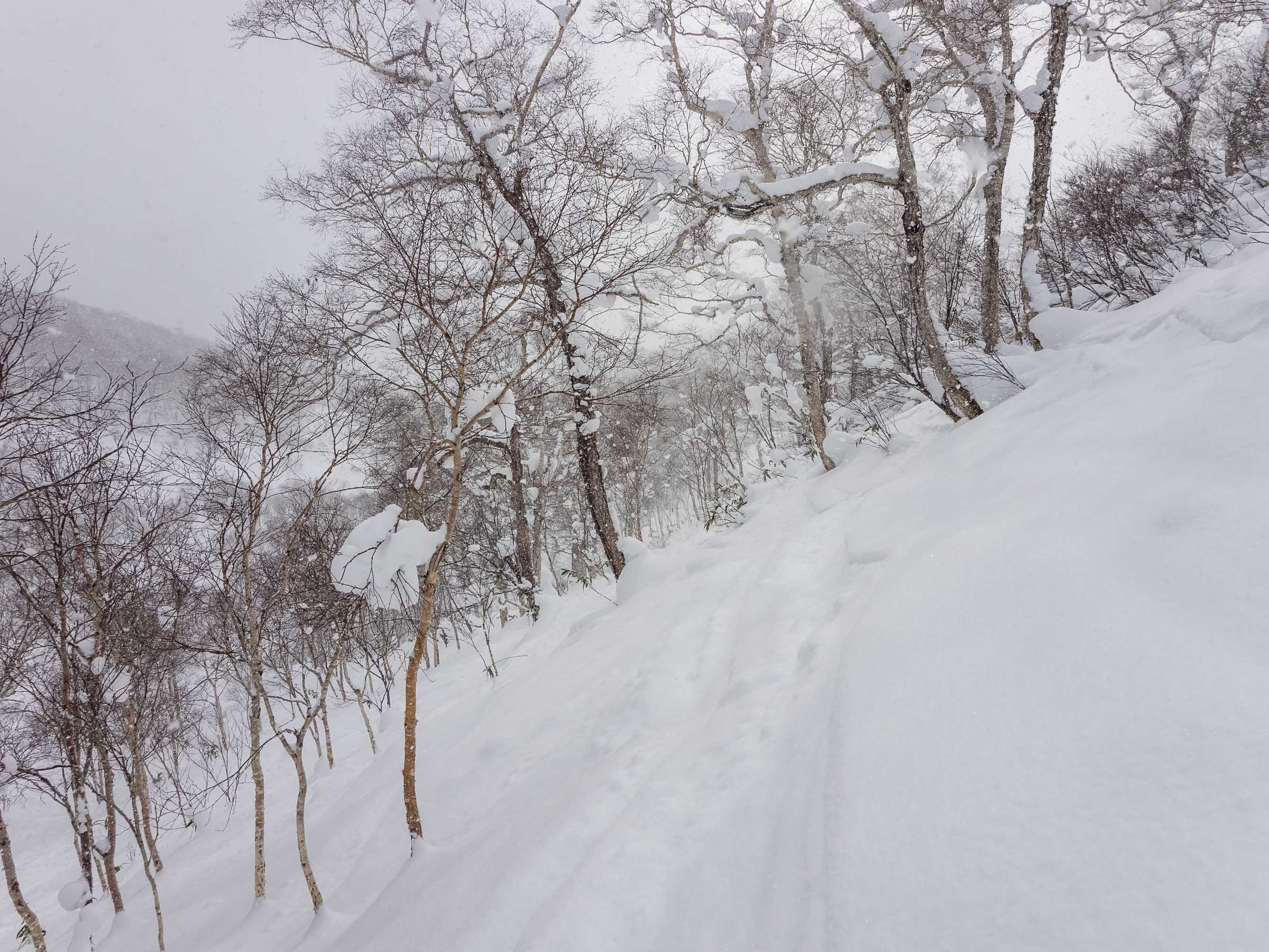 Chisenupuri Ski Touring (Hokkaido, Japan)