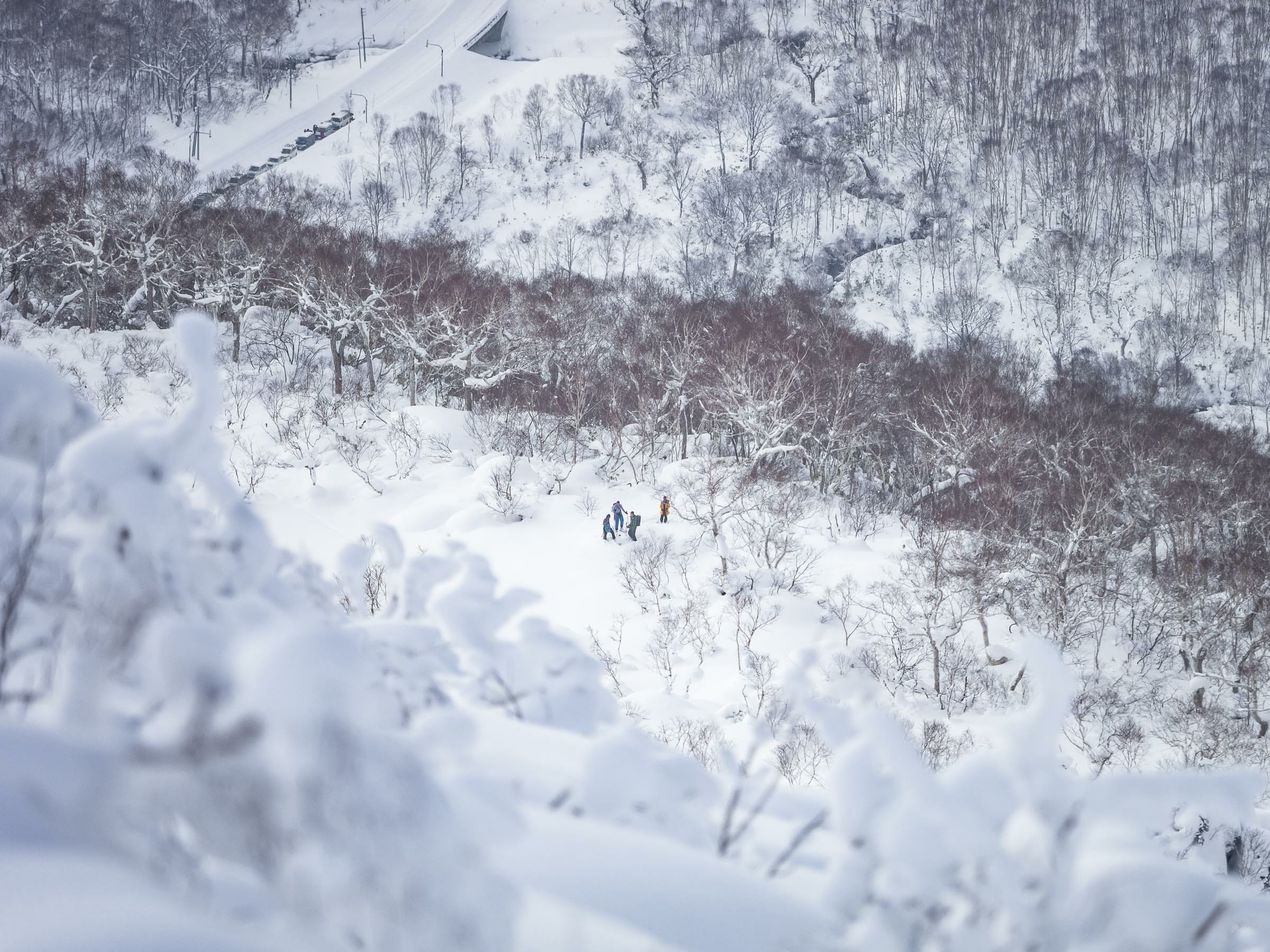 Nitonupuri backcountry skiing (Niseko, Hokkaido, Japan)