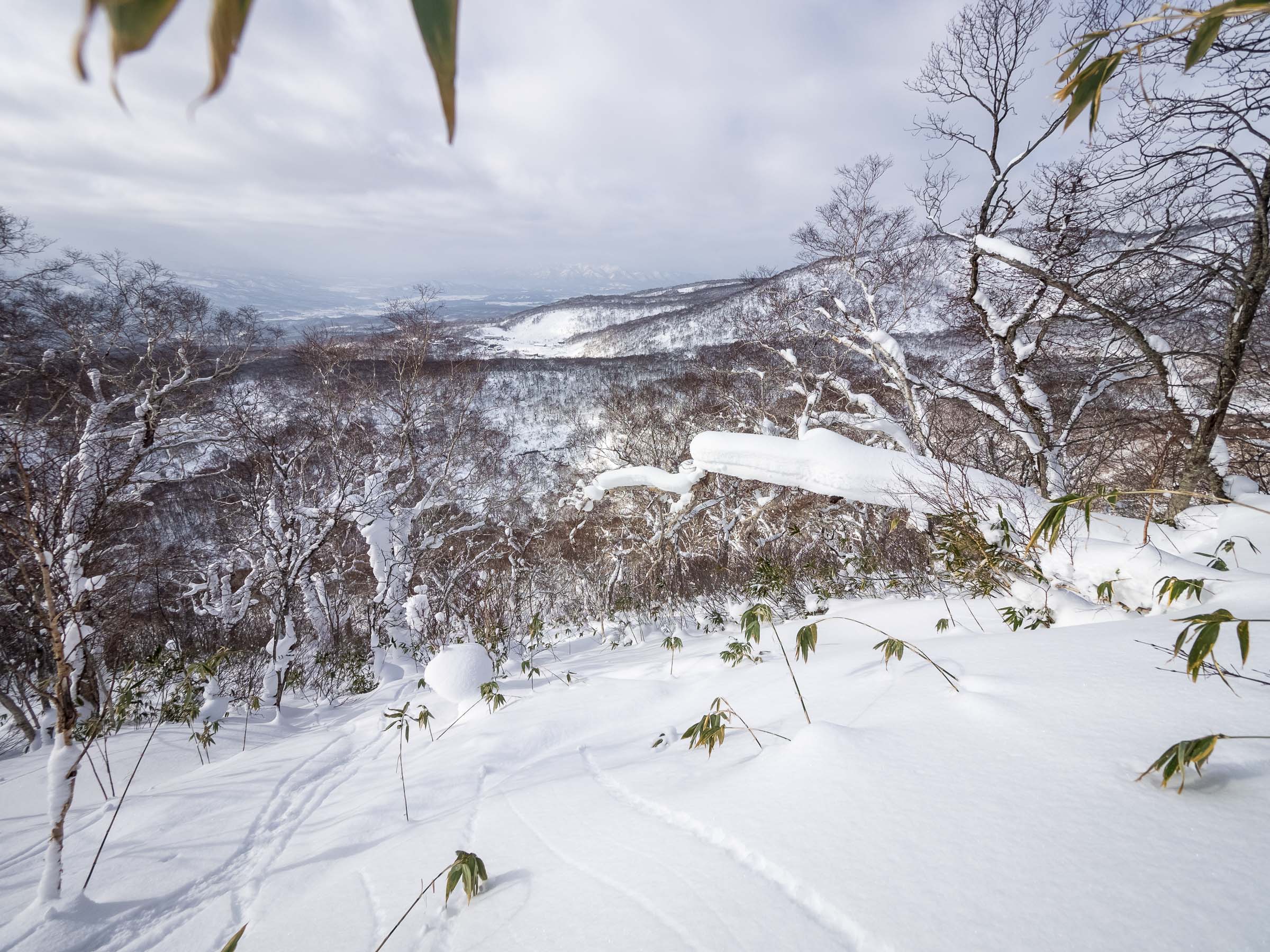 Nitonupuri backcountry skiing (Niseko, Hokkaido, Japan)