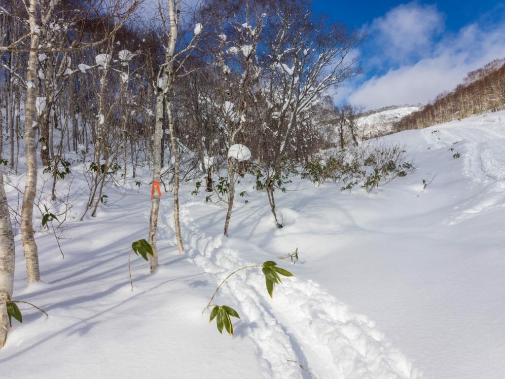 Shakunage-dake Ski Touring (Hokkaido, Japan)