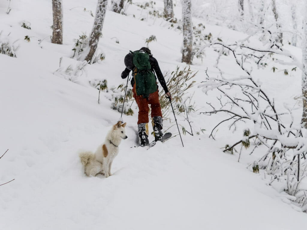 Shiribets-dake Ski Touring (Hokkaido, Japan)
