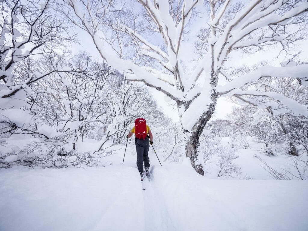 Yotei-zan Kyogoku Route Ski Touring (Hokkaido, Japan)