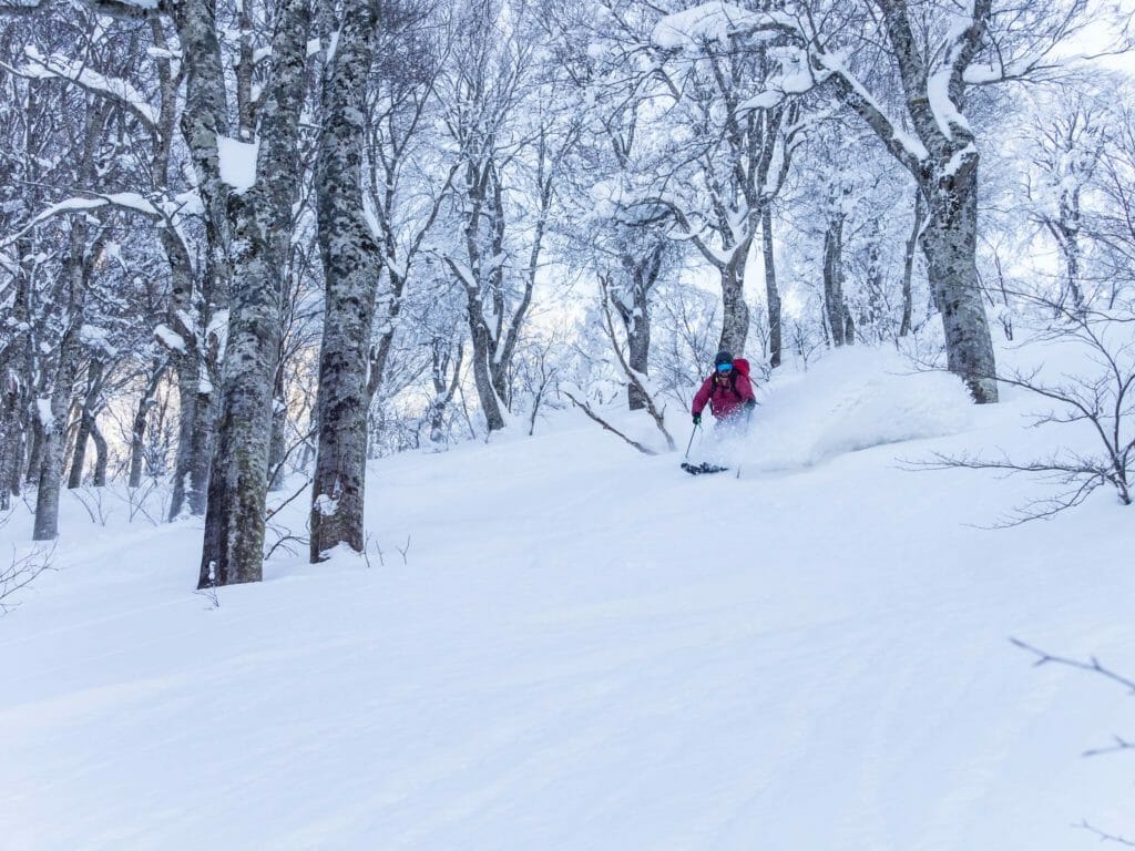 Iwaki-san Saihoji-mori Ski Touring Route (Aomori, Japan)