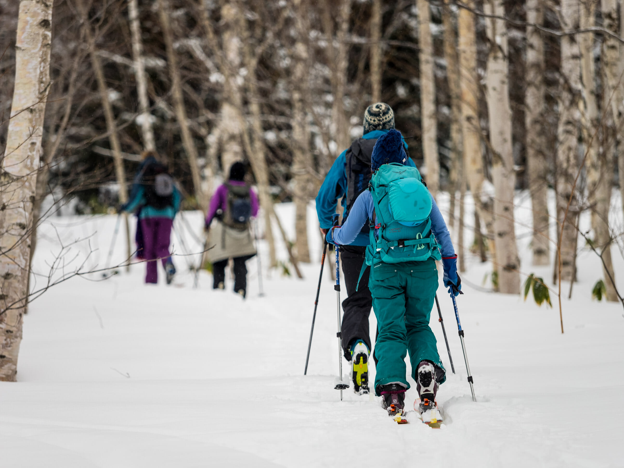 Raiden-yama Sankokunai Ski Touring (Hokkaido, Japan)