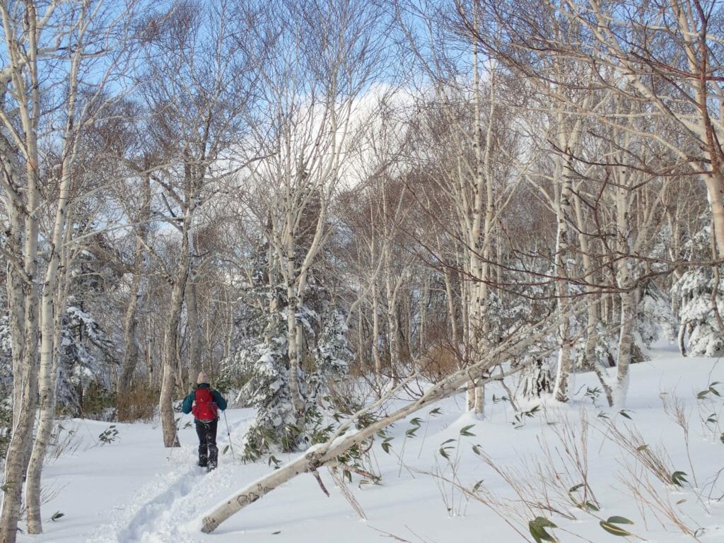 Sapporo-dake Traverse Hike (Hokkaido, Japan)