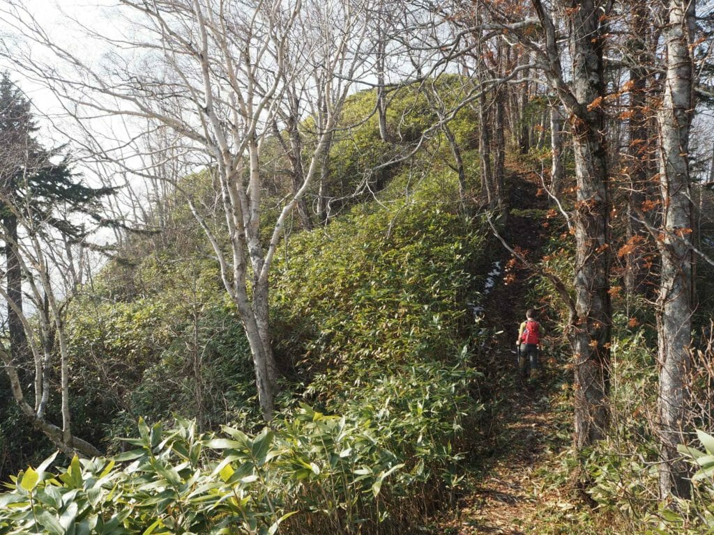 Toishi-yama Hiking (Sapporo City, Japan)