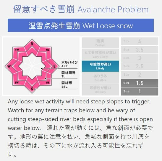 Japan Avalanche Network Reporting Style in Hokkaido