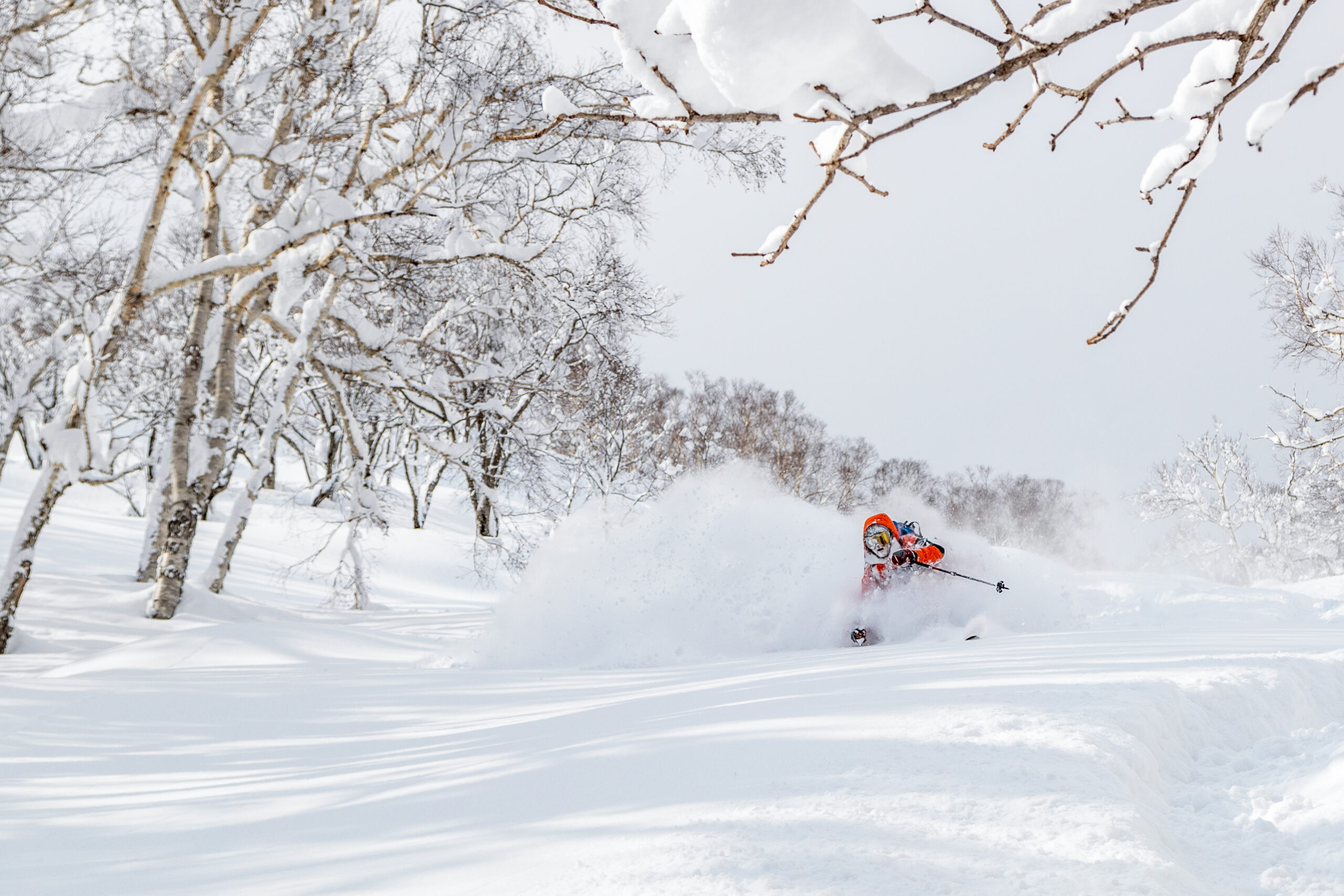 Niseko Backcountry Topomap Companion Site | HokkaidoWilds.org