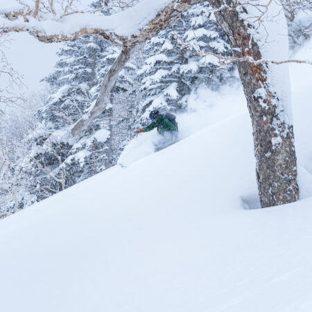 Avalanche Bulletins for Central Hokkaido